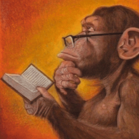 Monkey deep thought with glasses reading a book